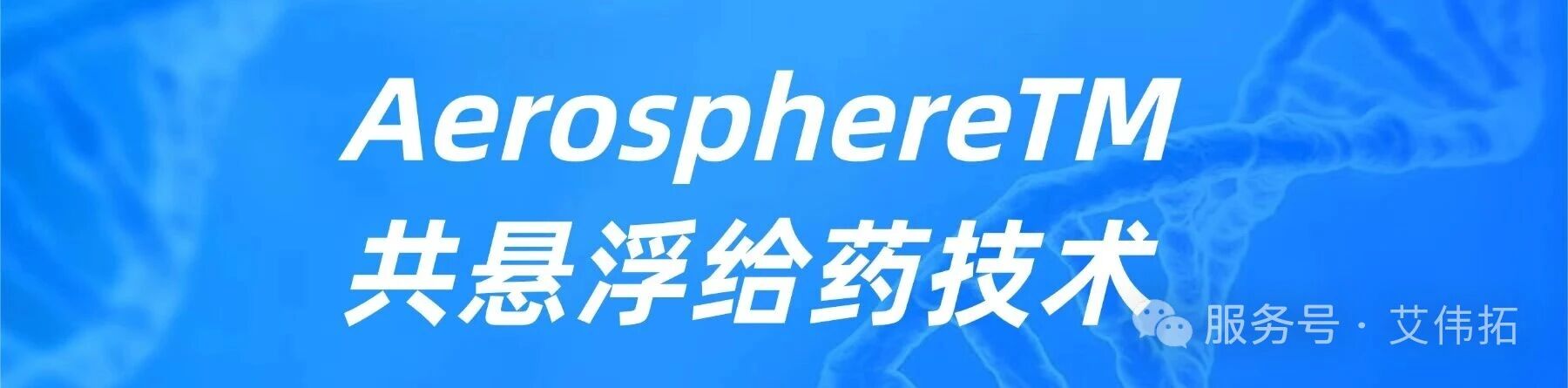 DSPC-多孔磷脂颗粒用于吸入制剂多联稳定给药