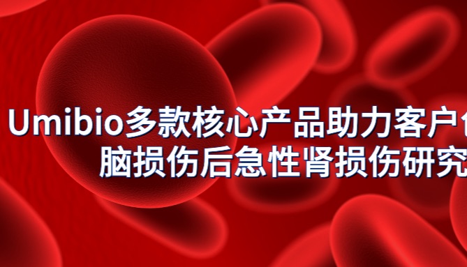 IF=12.5 | Umibio多款核心产品助力客户创伤性脑损伤后急性肾损伤研究！