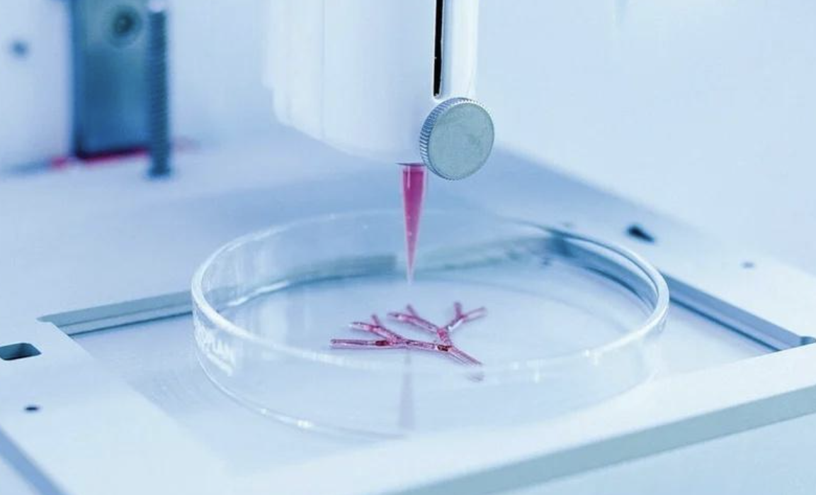 图像2026-3-17 09.46.png