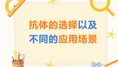 抗体的选择以及不同应用场景