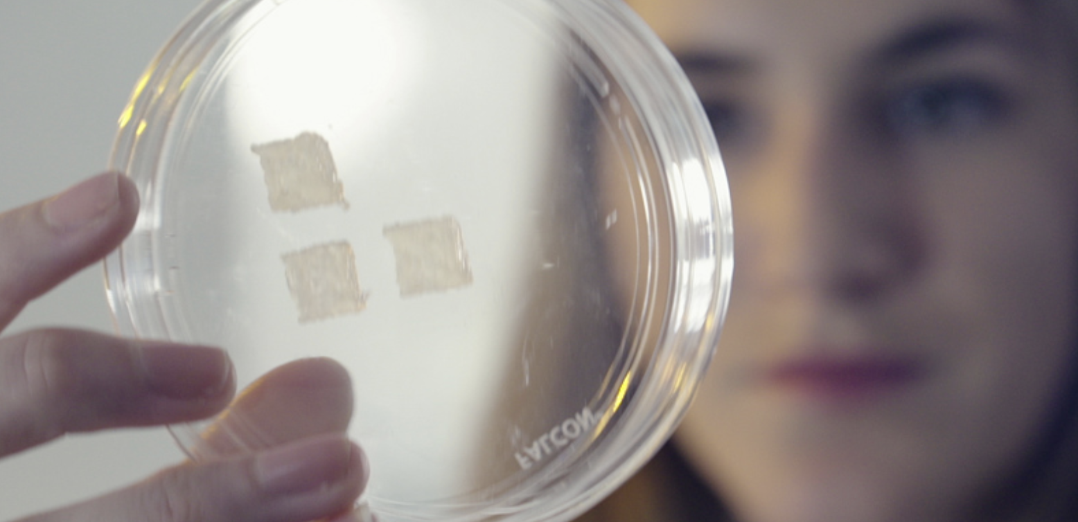 图像2026-3-17 09.36.png