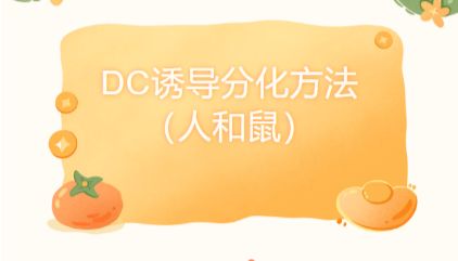 DC诱导分化方法（人和鼠）