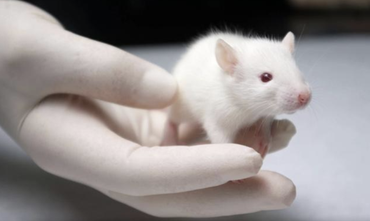 图像2026-3-17 09.33.png