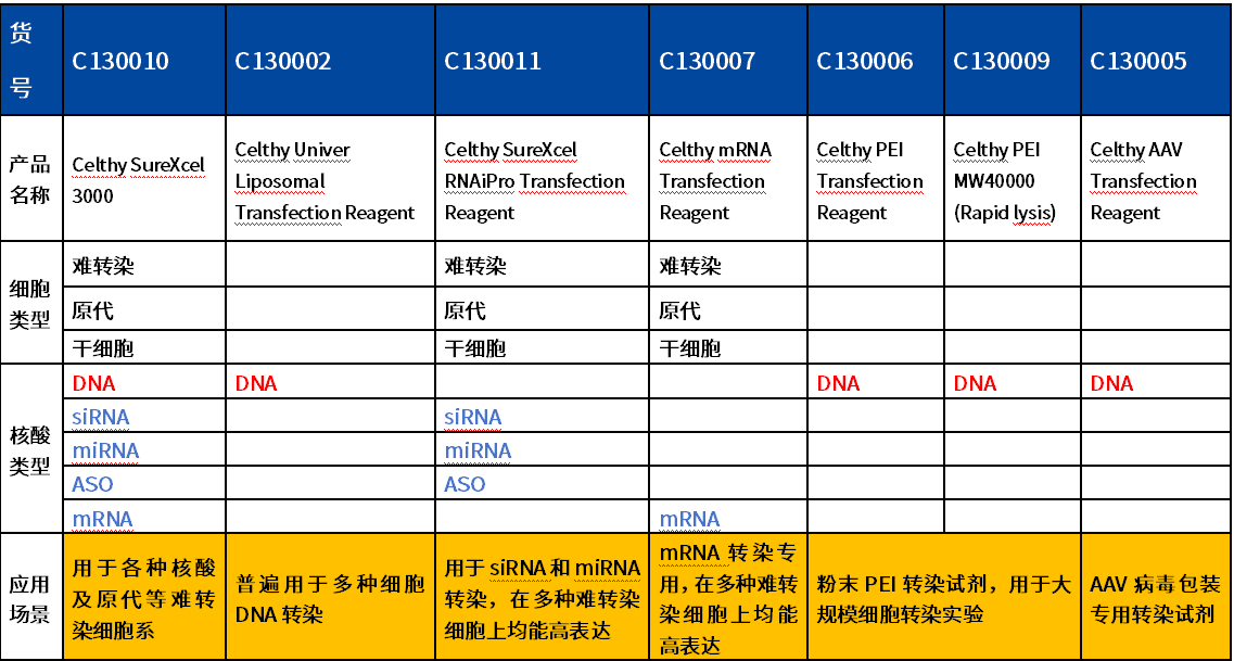 转染必读：常见问题与解决方案