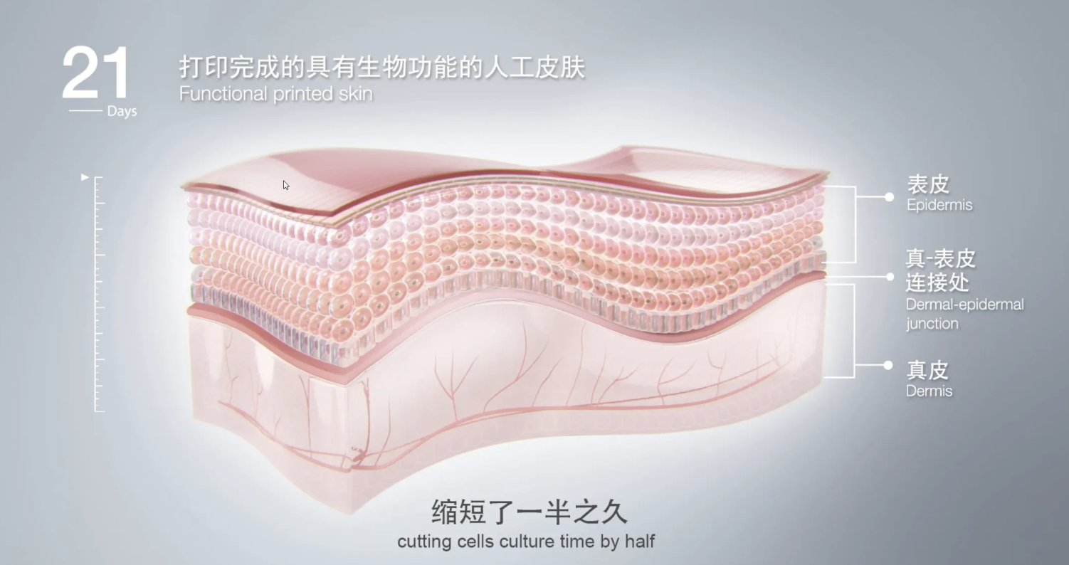 图像2026-3-17 09.43.png