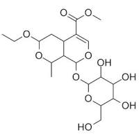 7-乙氧基莫诺苷
