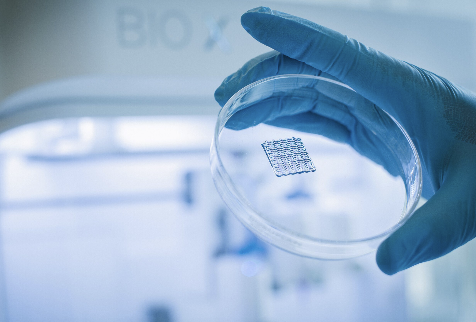 图像2026-3-17 09.47.png