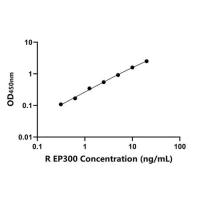 大鼠E1A结合蛋白P300(EP300)ELISA试剂盒