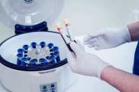 悬浮原代肝细胞丨贴壁原代肝细胞