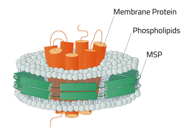 MSP纳米盘示意图概述