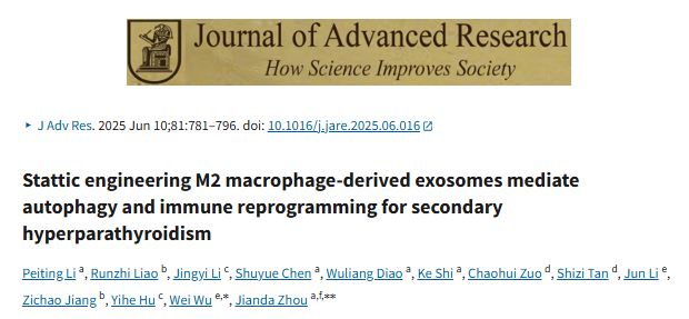 J Adv Res|IF：13+，免疫重编程+自噬调控！Stattic工程化外泌体，为SHPT干预解锁 “双重调控” 新路径！