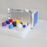 牛纤连蛋白(FN) ELISA Kit