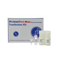 西湖凝聚体PT0202 ProteanFect Max试剂盒 针对难转细胞优化 授权代理