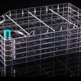 葡萄糖摄取培养板检测试剂盒