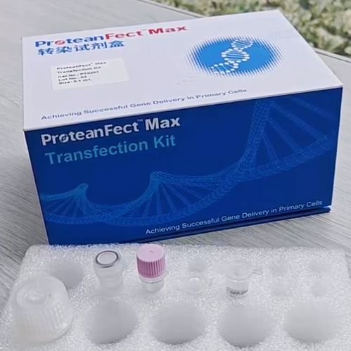 西湖凝聚体PT03 ProteanFect Max 小鼠原代T细胞转染试剂盒