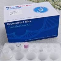 西湖凝聚体PT03 ProteanFect Max 小鼠原代T细胞转染试剂盒
