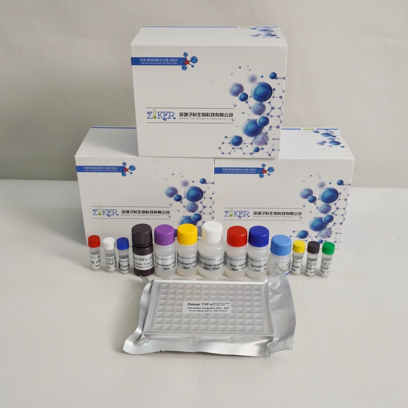 小鼠游离脂肪酸（FFA）ELISA检测试剂盒厂家直销