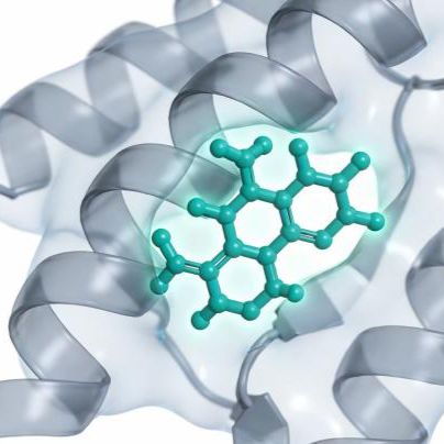 技术服务/计算生物学服务/分子对接服务快速高效可视化精准定位