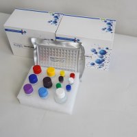 猴白介素2（IL-2）ELISA试剂盒