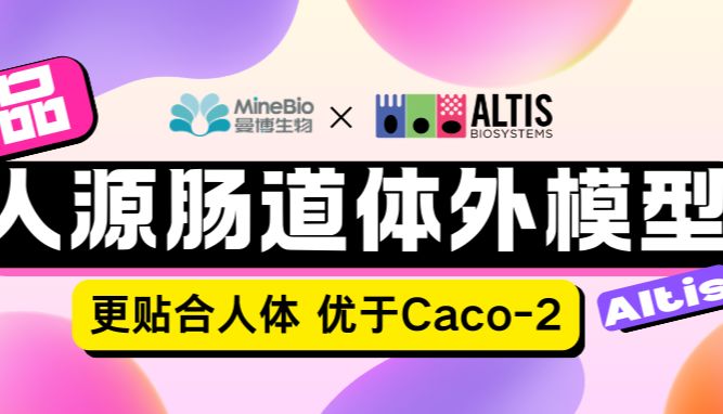 Altis RepliGut人源肠道体外模型｜比Caco-2更像人体肠道
