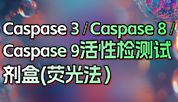 新品！Caspase3/8/9酶活精准定量