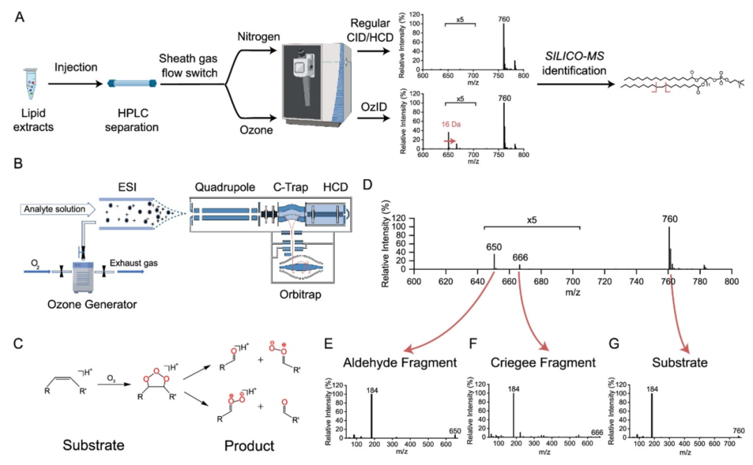 赛默飞仪器助力SILICO-MS技术革新，赋能代谢疾病研究