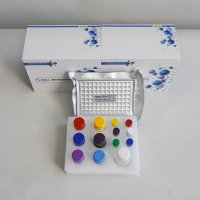 鸡皮质酮（CS）ELISA试剂盒子科供应