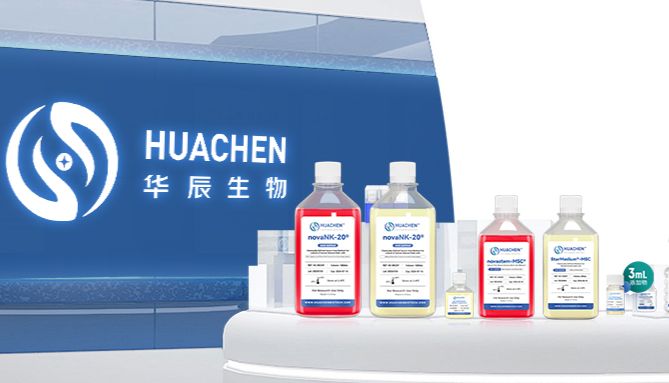 818号令划定外泌体临床合规红线：血清/替代物全面禁用，CD培养基成必选项