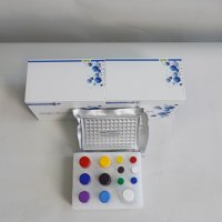 小鼠总三碘甲腺原氨酸(TT3)ELISA检测试剂盒厂家直销