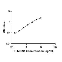人迁移侵袭增强子1(MIEN1)ELISA试剂盒