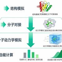技术服务/计算生物学服务/综合分析服务（打包方案）>定制化>多维度>便捷化