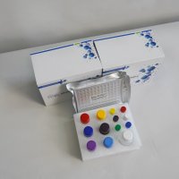 白三烯C4(LTC4) ELISA kit（试剂盒）子科供应