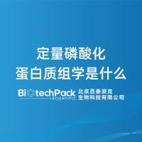 定量磷酸化蛋白质组学是什么-百泰派克生物科技