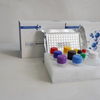牛巨噬细胞来源趋化因子(MDC) ELISA Kit