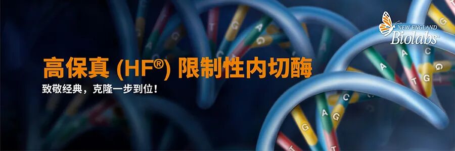 春风启研 蓄力前行 | NEB 开年钜惠，赢在科研起跑线