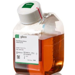 gibco代理 胎牛血清  Fetal Bovine Serum, Premium Plus  A5669701 