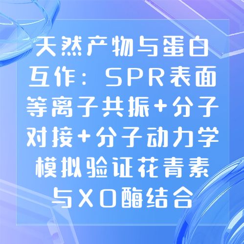 天然产物与蛋白互作:SPR表面等离子共振+分子对接+分子动力学模拟验证花青素与XO酶结合