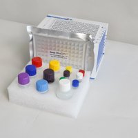 小鼠谷氨酸脱羧酶自身抗体（GAD-Ab）ELISA检测试剂盒厂家直销