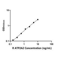 大鼠钙离子转运ATP酶A2(ATP2A2)ELISA试剂盒