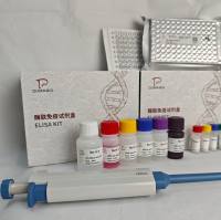 植物(Plant)磷脂酸(PA) 酶联免疫吸附测定试剂盒