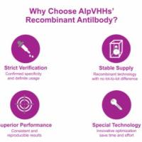 Anti-GST, AlpSdAbs® VHH(HRP)