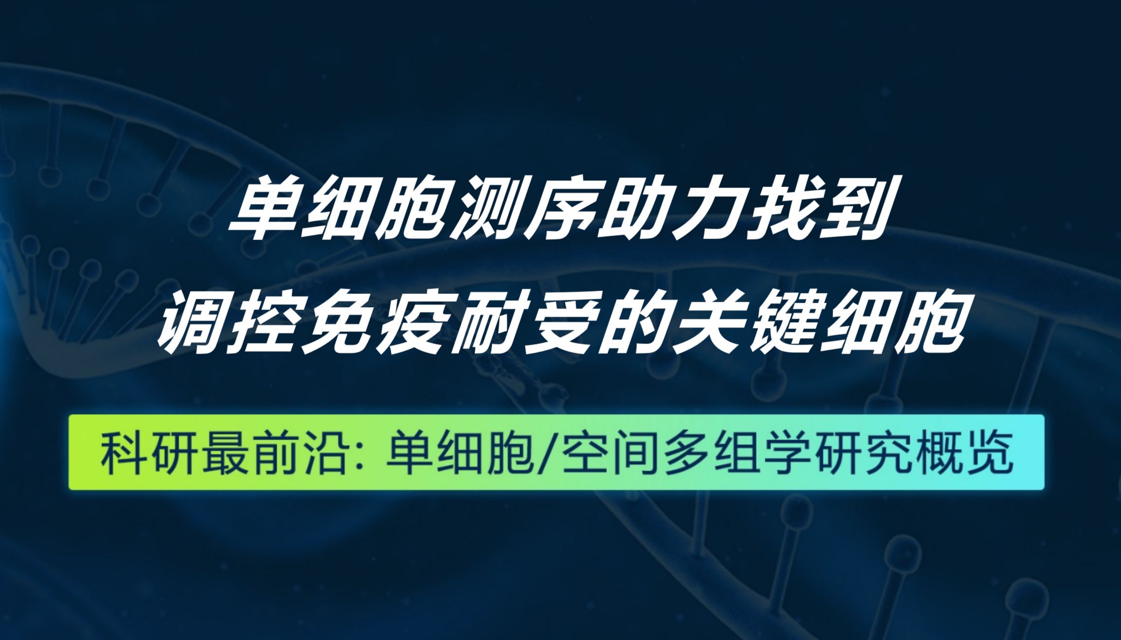 Immunity丨单细胞测序助力找到调控免疫耐受的关键细胞