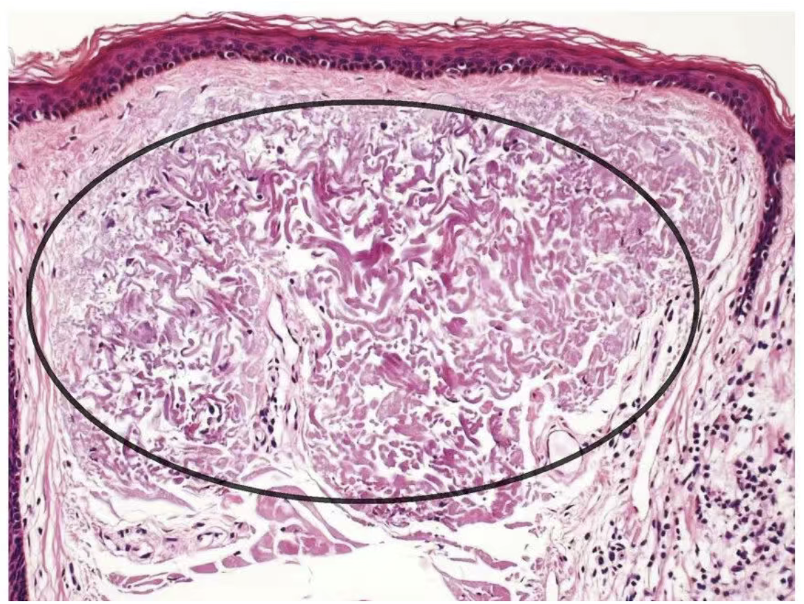 图像2026-3-18 14.31.png