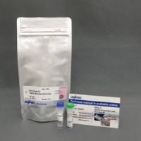 细胞ROS检测—Highly Sensitive DCFH-DA-试剂