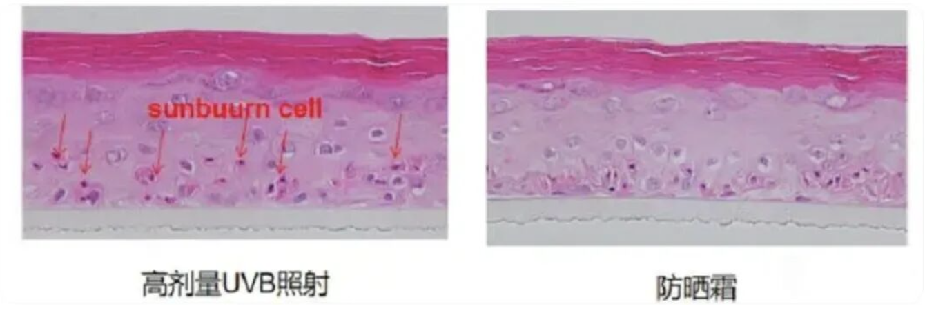 图像2026-3-18 14.19.png