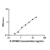 大鼠晶状体蛋白βB2(CRYBB2)ELISA试剂盒