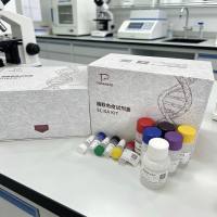 植物(Plant)Y病毒(PVY)ELISA检测试剂盒