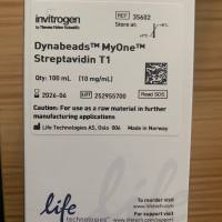 赛默飞35602 Dynabeads MyOne 链霉亲和素  OEMT1  100ml  特价