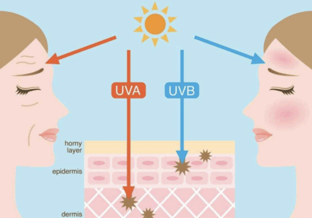 图像2026-3-18 14.02.png