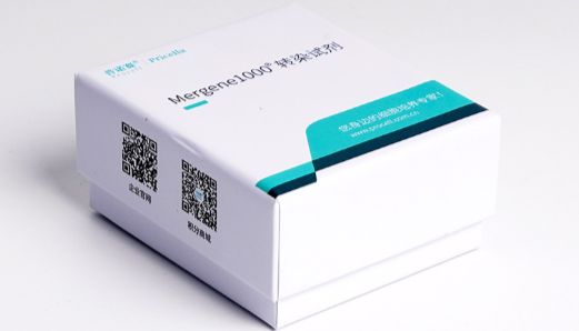 THP-1细胞mRNA转染高效策略-突破免疫细胞转染难题